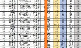 小升初成绩查询